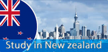 Top Reasons Why You Should Study in New Zealand? - AIIS