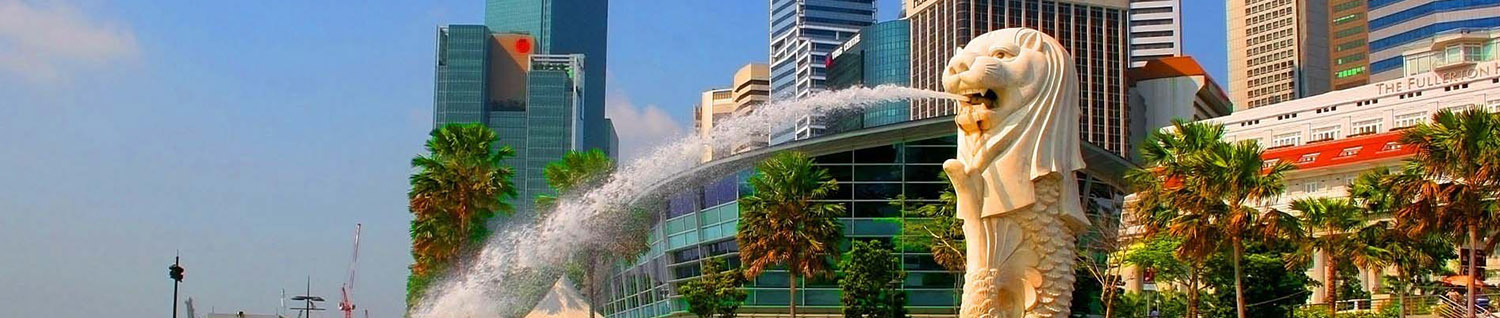banner-singapure